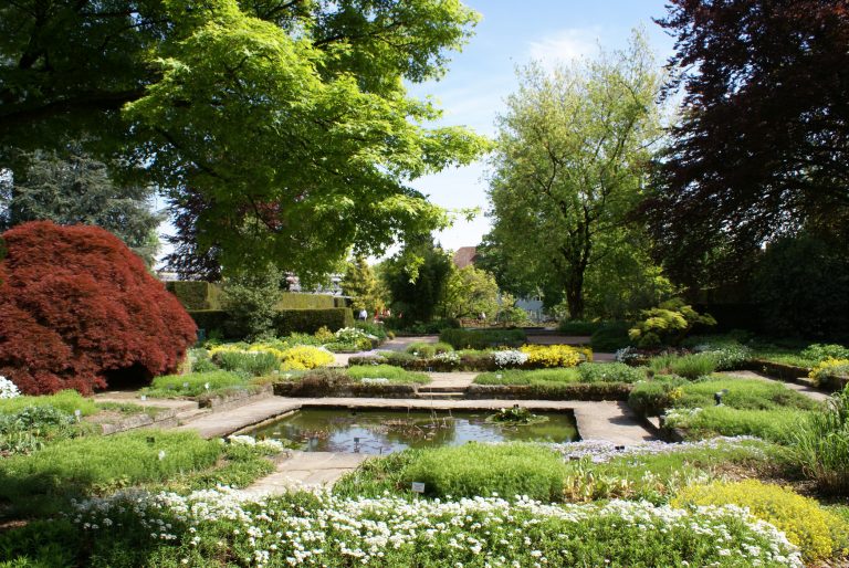 Botanischer Garten Biotop © Linz Tourismus die jungs kommunikationdie