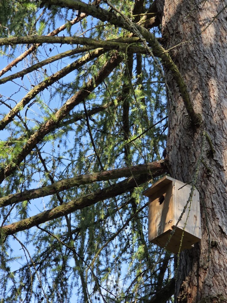 Die moderne Forstwirtschaft verfolgt zunehmend einen multifunktionalen Ansatz mit dem Ziel, mehrere Ökosystemleistungen gleichzeitig bereitzustellen. © Nelson Grima / IUFRO
